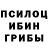 Псилоцибиновые грибы Magic Shrooms Stan Masinov