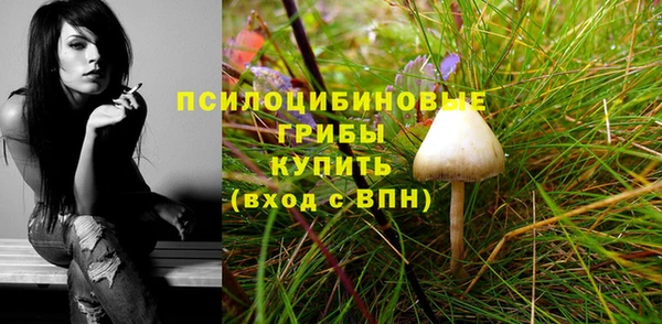 мяу мяу мука Каменск-Шахтинский