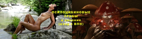 твердый Каменка