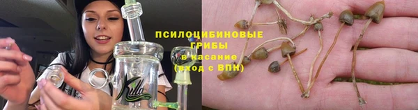 твердый Каменка