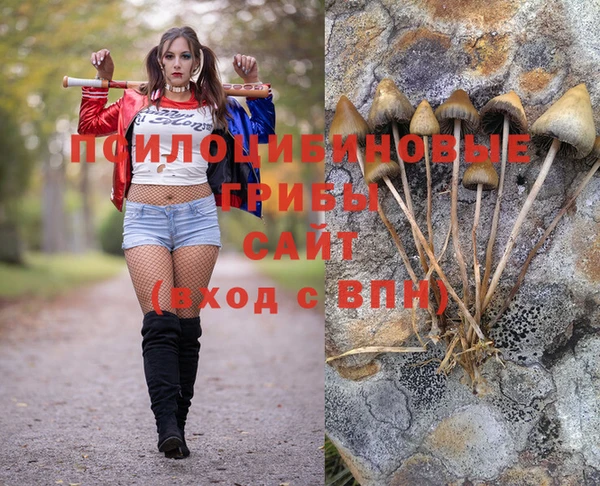 Альфа ПВП Каменногорск