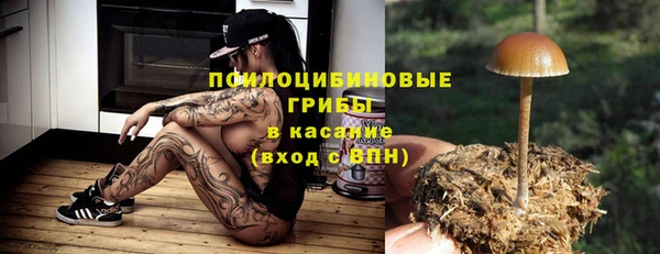 твердый Каменка