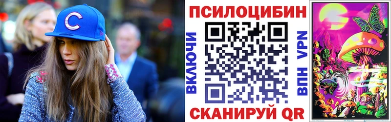 Купить где Болхов Псилоцибиновые грибы мицелий